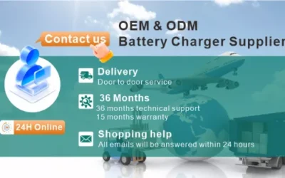 Our services